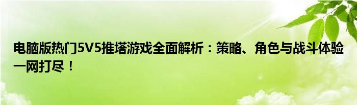 电脑版热门5V5推塔游戏全面解析：策略、角色与战斗体验一网打尽！