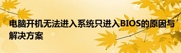 电脑开机无法进入系统只进入BIOS的原因与解决方案