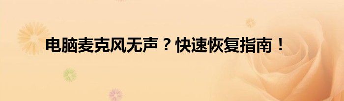 电脑麦克风无声？快速恢复指南！