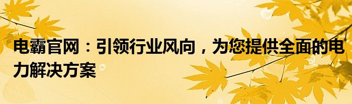 电霸官网：引领行业风向，为您提供全面的电力解决方案