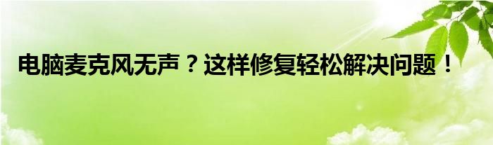 电脑麦克风无声？这样修复轻松解决问题！