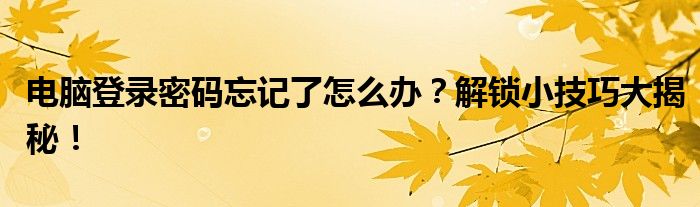 电脑登录密码忘记了怎么办？解锁小技巧大揭秘！