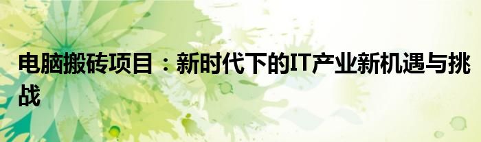 电脑搬砖项目：新时代下的IT产业新机遇与挑战