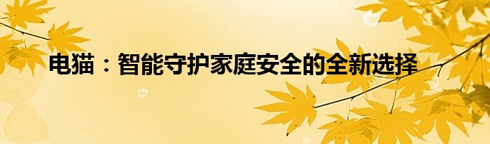 电猫：智能守护家庭安全的全新选择
