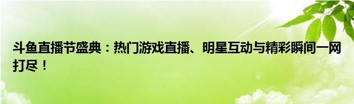 斗鱼直播节盛典：热门游戏直播、明星互动与精彩瞬间一网打尽！