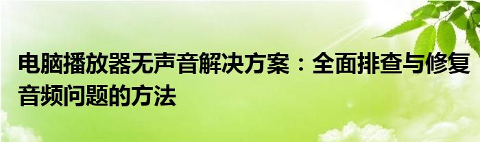 电脑播放器无声音解决方案：全面排查与修复音频问题的方法
