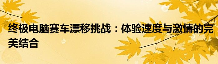 终极电脑赛车漂移挑战：体验速度与激情的完美结合