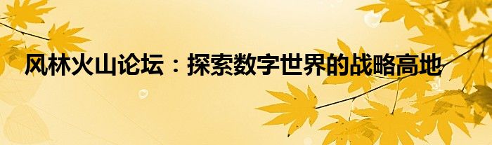 风林火山论坛：探索数字世界的战略高地