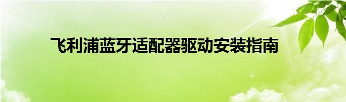 飞利浦蓝牙适配器驱动安装指南