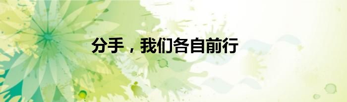 分手，我们各自前行