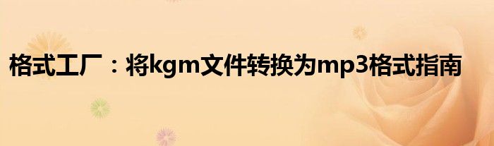 格式工厂：将kgm文件转换为mp3格式指南