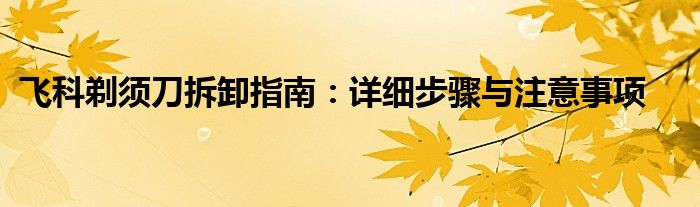 飞科剃须刀拆卸指南：详细步骤与注意事项