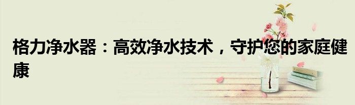格力净水器：高效净水技术，守护您的家庭健康