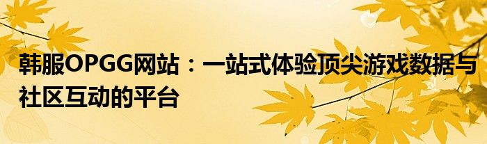 韩服OPGG网站：一站式体验顶尖游戏数据与社区互动的平台