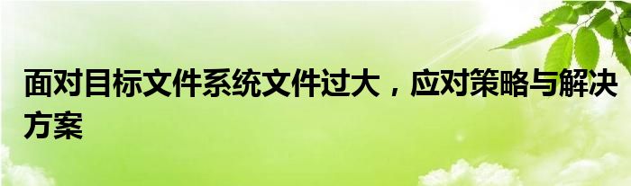 面对目标文件系统文件过大，应对策略与解决方案