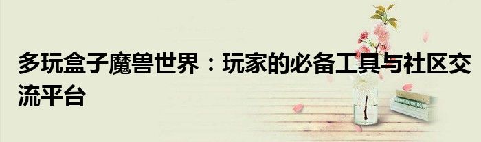 多玩盒子魔兽世界：玩家的必备工具与社区交流平台