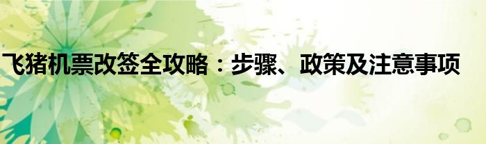 飞猪机票改签全攻略：步骤、政策及注意事项