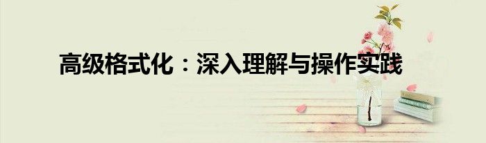 高级格式化：深入理解与操作实践