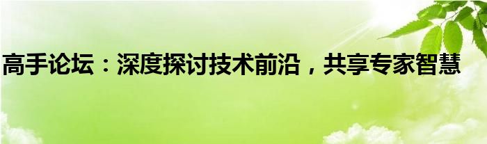 高手论坛：深度探讨技术前沿，共享专家智慧