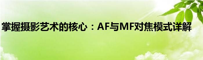 掌握摄影艺术的核心：AF与MF对焦模式详解