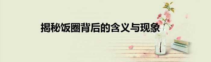 揭秘饭圈背后的含义与现象