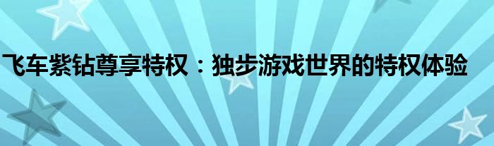 飞车紫钻尊享特权：独步游戏世界的特权体验