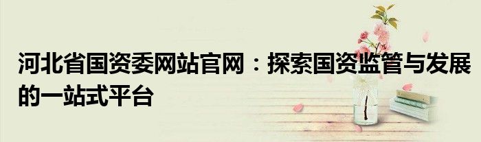 河北省国资委网站官网：探索国资监管与发展的一站式平台