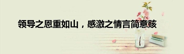 领导之恩重如山，感激之情言简意赅