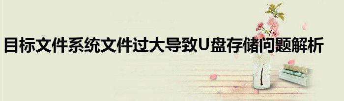 目标文件系统文件过大导致U盘存储问题解析