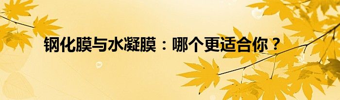 钢化膜与水凝膜：哪个更适合你？