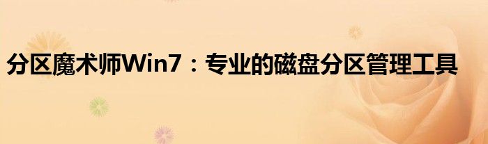 分区魔术师Win7：专业的磁盘分区管理工具