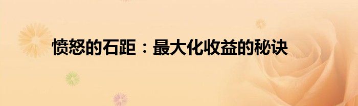 愤怒的石距：最大化收益的秘诀