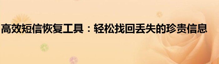 高效短信恢复工具：轻松找回丢失的珍贵信息
