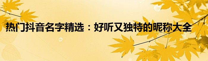 热门抖音名字精选：好听又独特的昵称大全