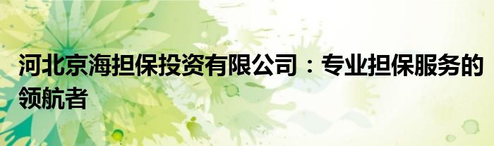 河北京海担保投资有限公司：专业担保服务的领航者