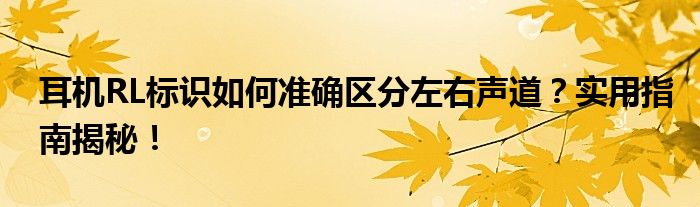 耳机RL标识如何准确区分左右声道？实用指南揭秘！