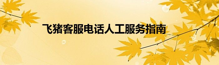 飞猪客服电话人工服务指南