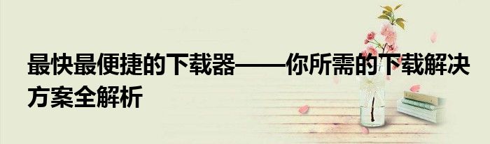 最快最便捷的下载器——你所需的下载解决方案全解析