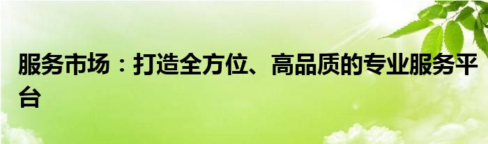 服务市场：打造全方位、高品质的专业服务平台
