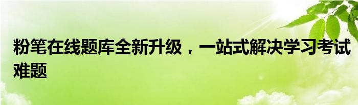 粉笔在线题库全新升级，一站式解决学习考试难题