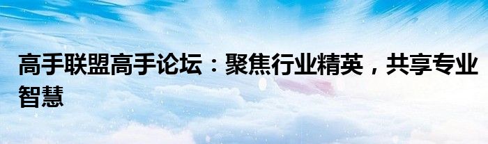 高手联盟高手论坛：聚焦行业精英，共享专业智慧
