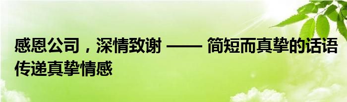 感恩公司，深情致谢 —— 简短而真挚的话语传递真挚情感