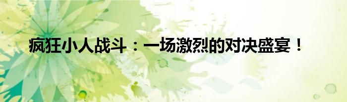 疯狂小人战斗：一场激烈的对决盛宴！