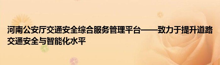 河南公安厅交通安全综合服务管理平台——致力于提升道路交通安全与智能化水平