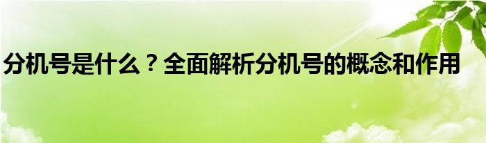 分机号是什么？全面解析分机号的概念和作用