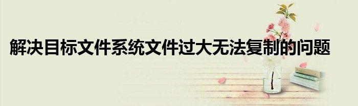 解决目标文件系统文件过大无法复制的问题