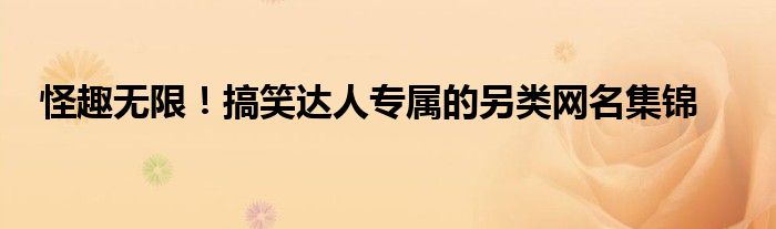 怪趣无限！搞笑达人专属的另类网名集锦