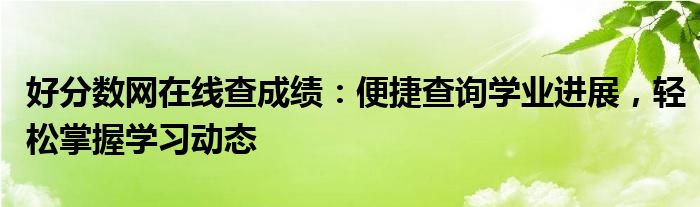好分数网在线查成绩：便捷查询学业进展，轻松掌握学习动态