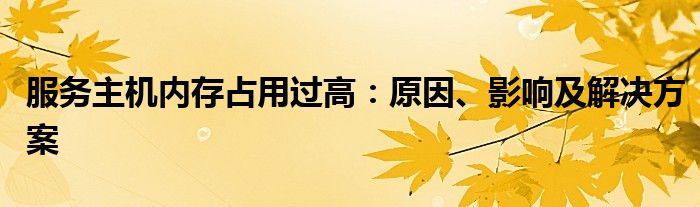 服务主机内存占用过高：原因、影响及解决方案