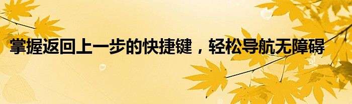 掌握返回上一步的快捷键，轻松导航无障碍